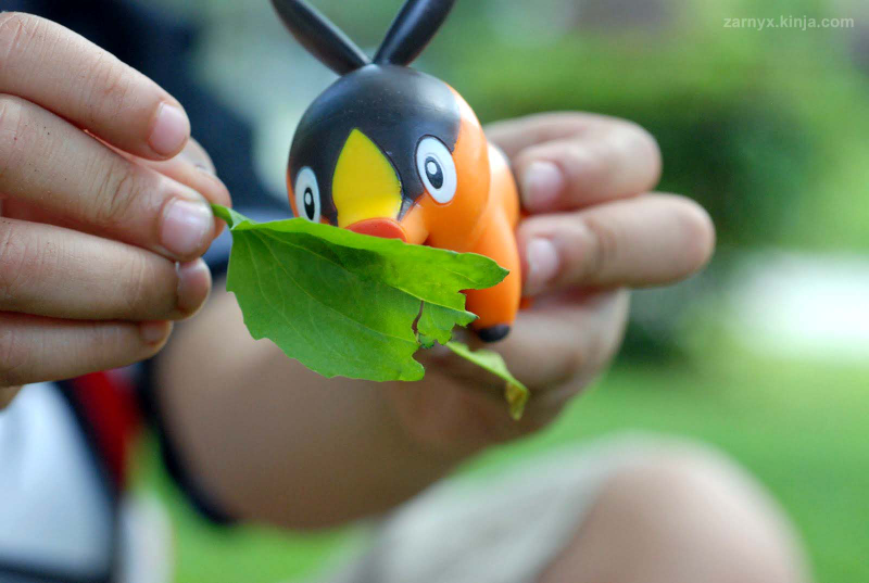 Illustration for article titled Pokémon (OH) Snap!: Hiding in the Tall Grass...(Part II)